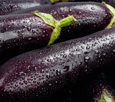 Melanzane fresche con gocce d'acqua